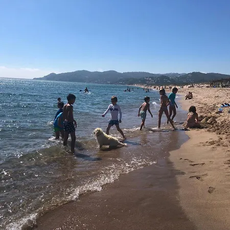 Playa, Del Golf アパート パルス