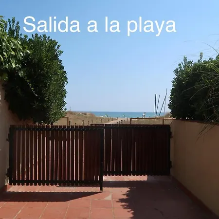Playa, Del Golf Pals